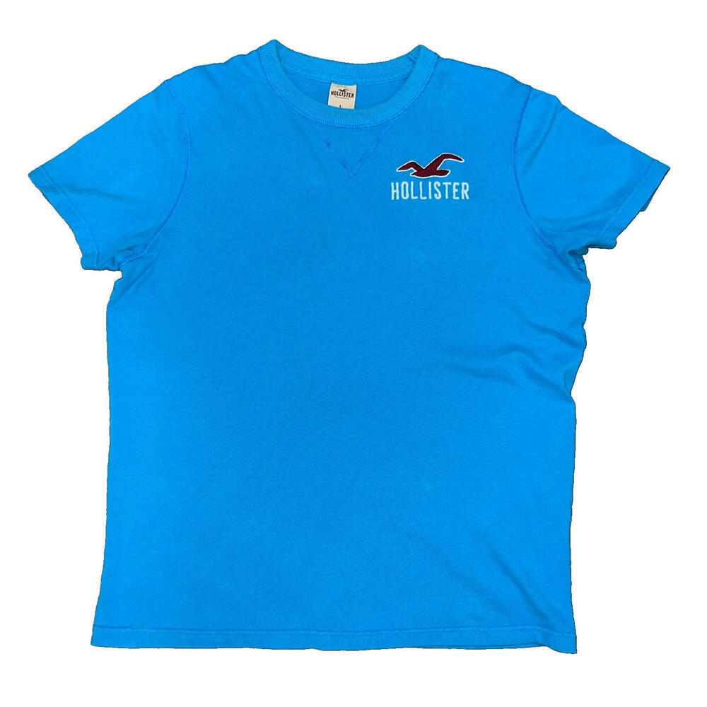 Vintage Hollister Turquoise Tshirt Mens Y2K embroidered logo size large‎